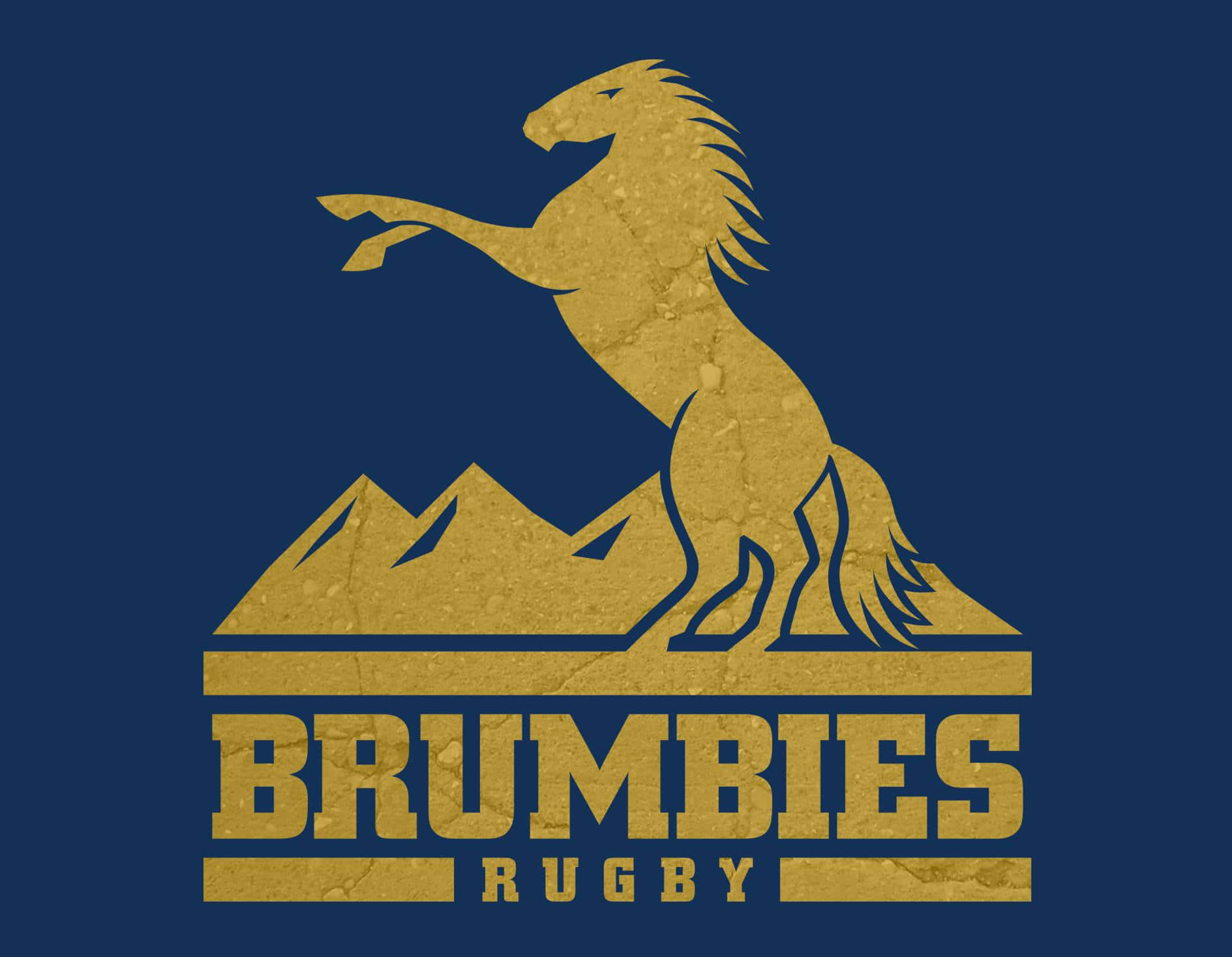 Majestic Brumbies Roaming The Picturesque Landscape Wallpaper