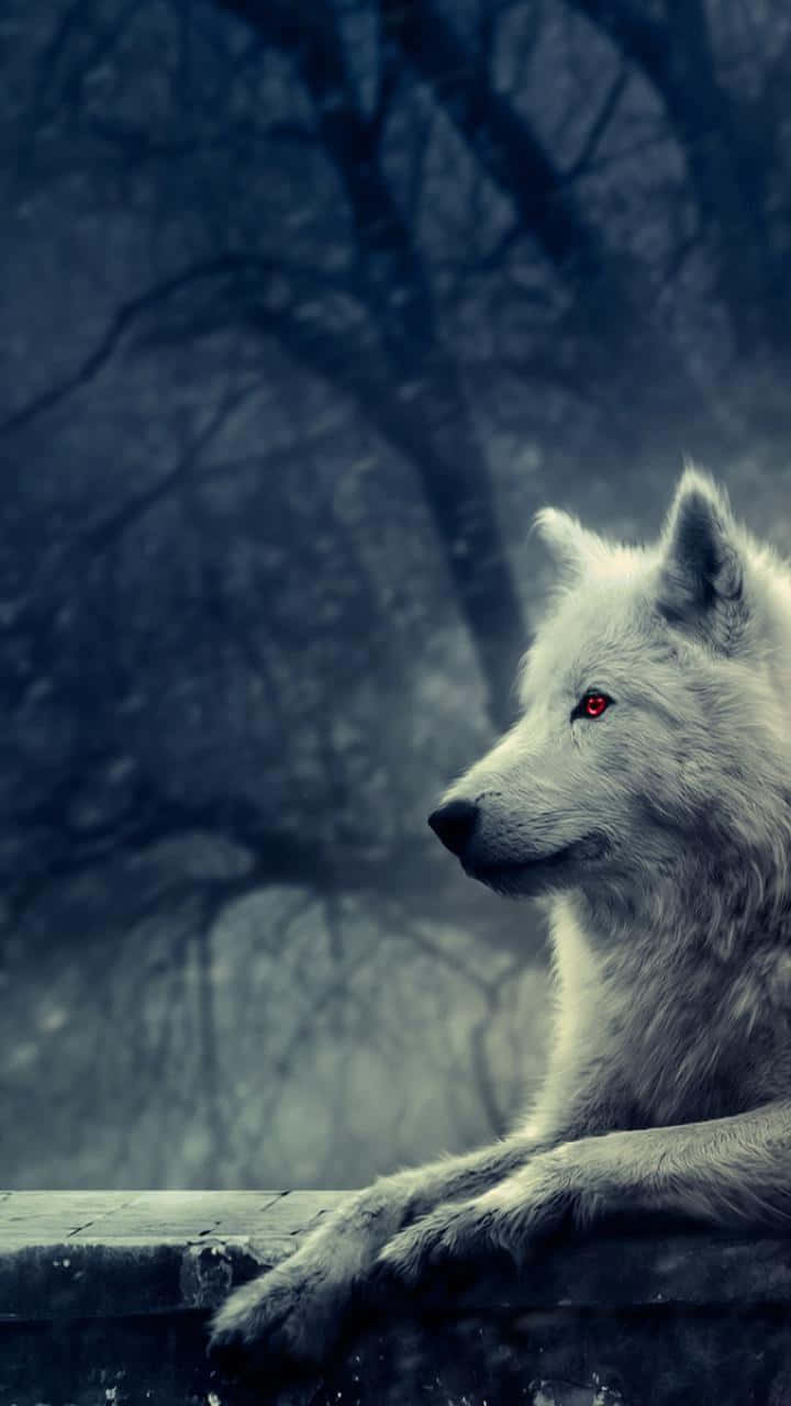 Majestic Dire Wolf Howling Under The Moonlight Wallpaper