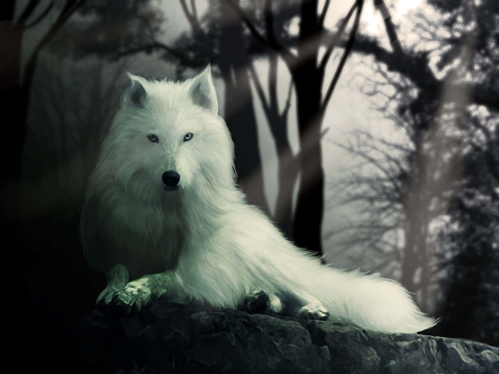 Majestic Dire Wolf Prowling In A Forest Wallpaper