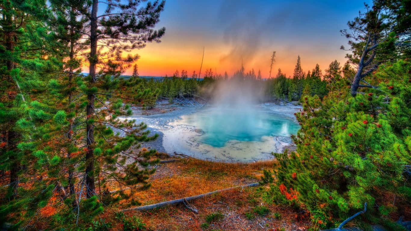 Majestic Eruption Of A Yellowstone Geyser Wallpaper