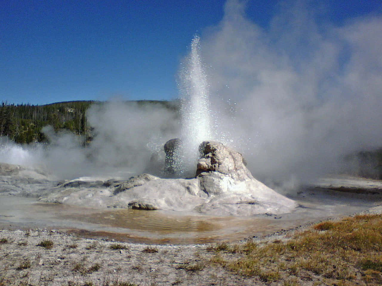 Majestic Geysers Erupting In Yellowstone National Park Wallpaper