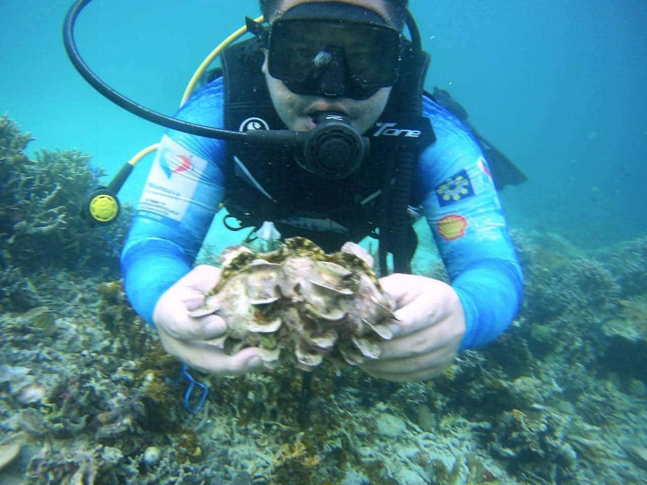 Majestic Giant Clam In Its Natural Habitat Wallpaper