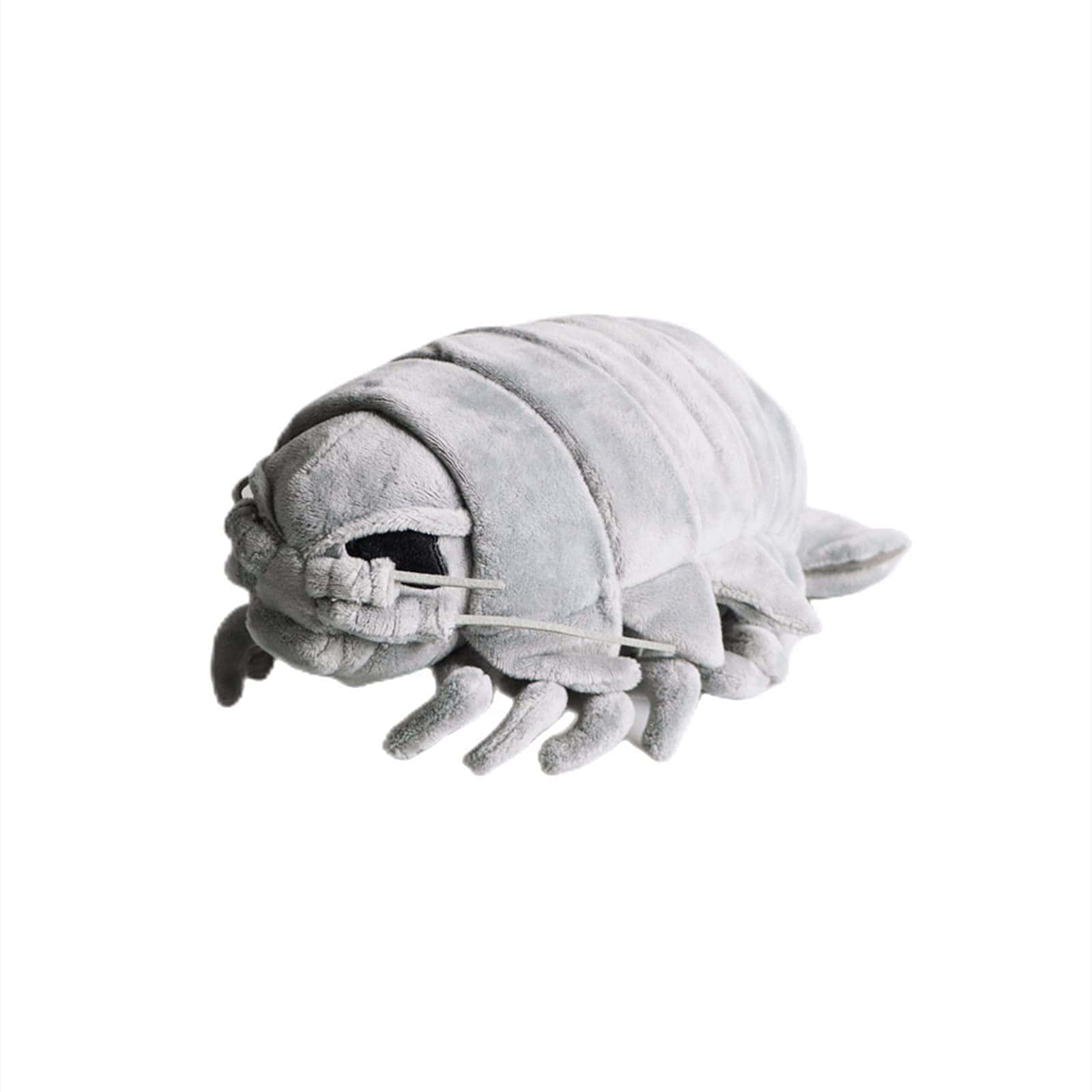 Majestic Giant Isopod In Natural Habitat Wallpaper