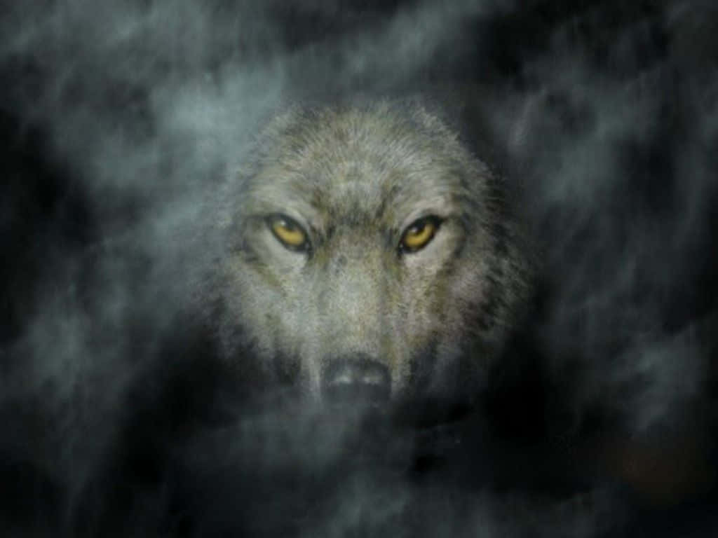 Majestic Gray Wolf In The Wild Wallpaper