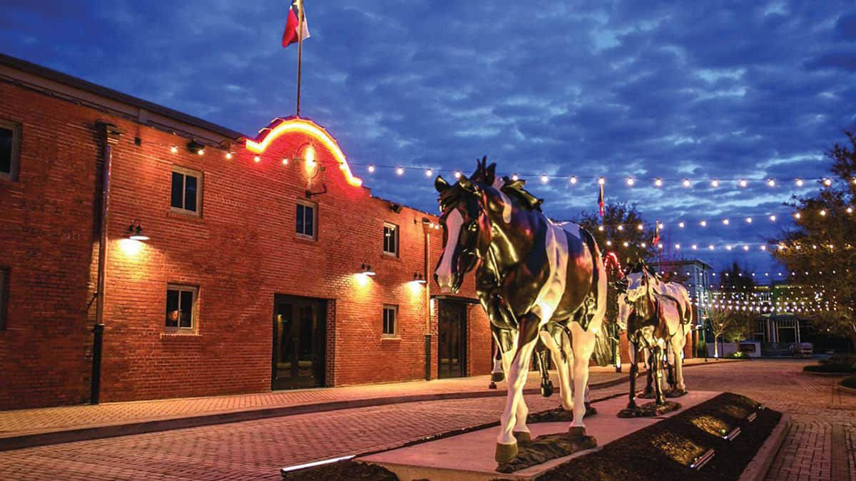 Majestic Horse Statue In Fort Worth Wallpaper