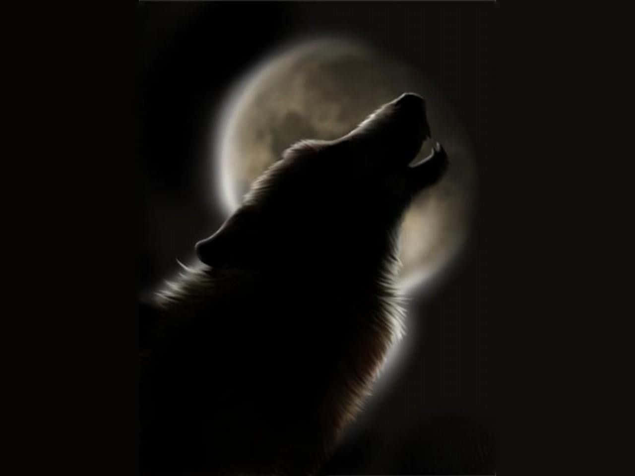 Majestic Howling Wolf Under The Full Moon Wallpaper