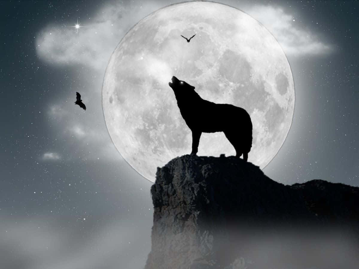 Majestic Howling Wolf Under The Nightly Sky Wallpaper