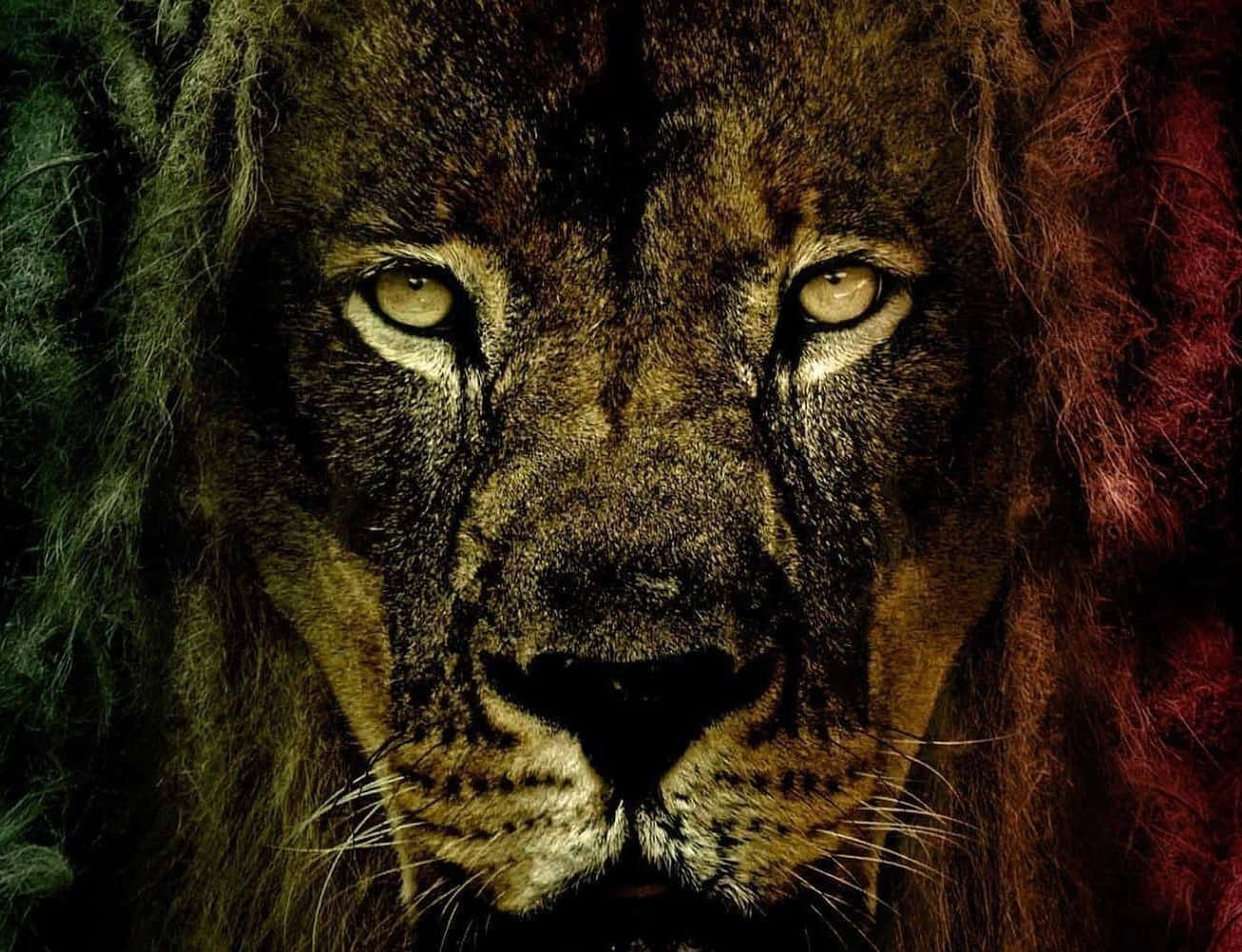 Majestic Lion Of Judah Standing On Rock Wallpaper