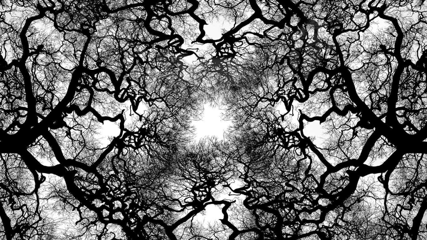 Majestic Monochrome Tree Wallpaper