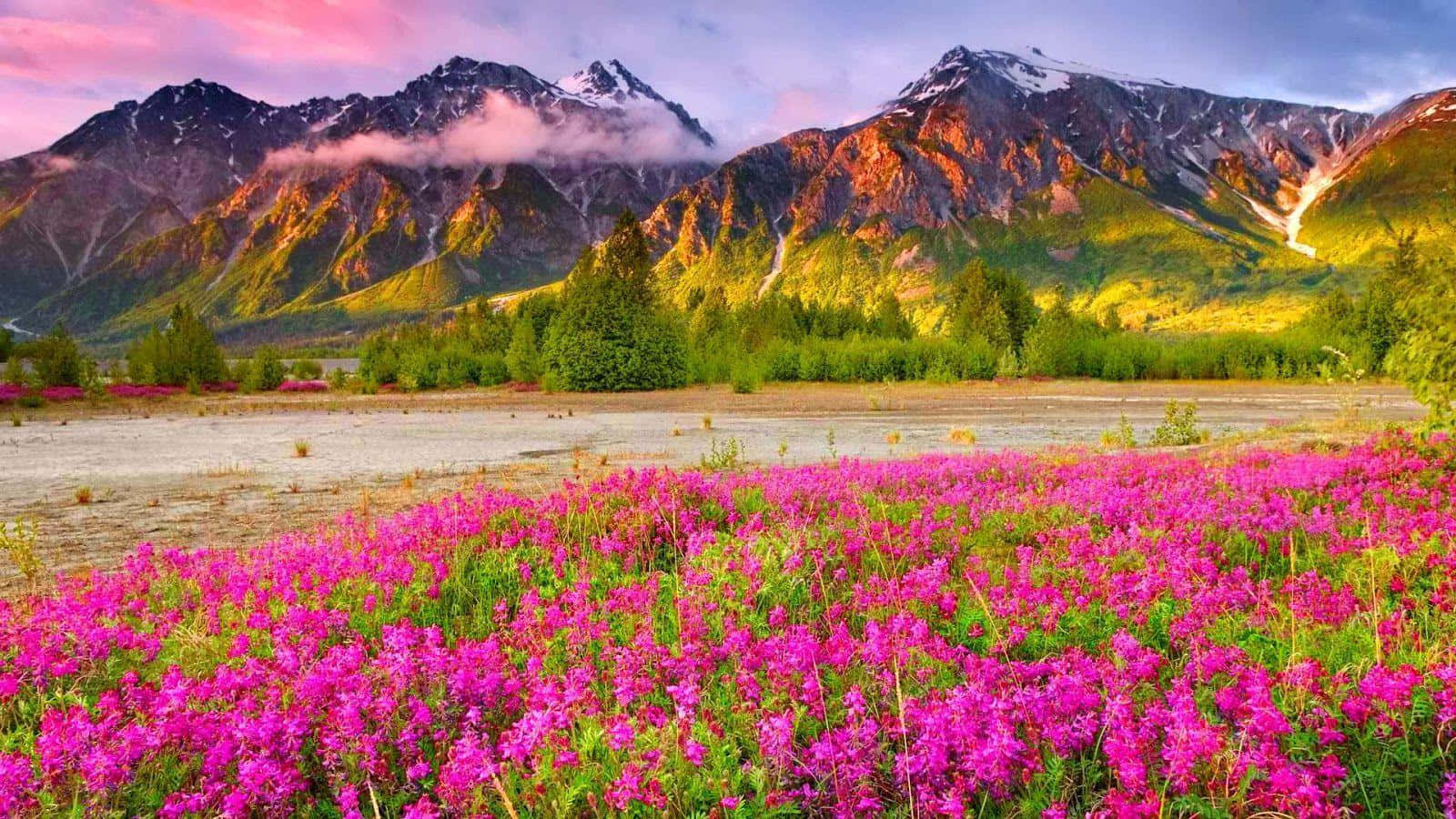 Majestic Mountain Landscape Wallpaper