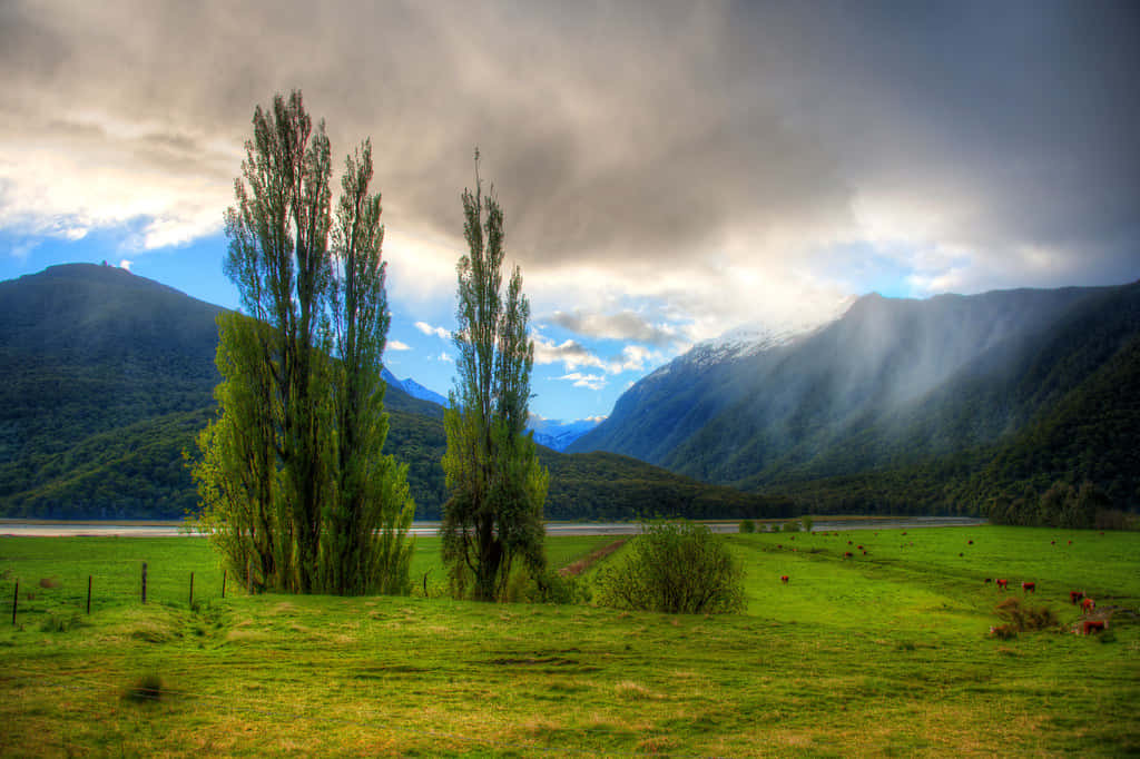 Majestic_ Mountain_ Valley_ Sunbeams Wallpaper