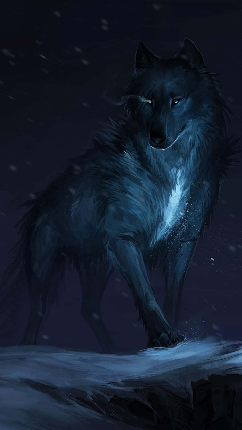 Majestic_ Nighttime_ Black_ Wolf Wallpaper