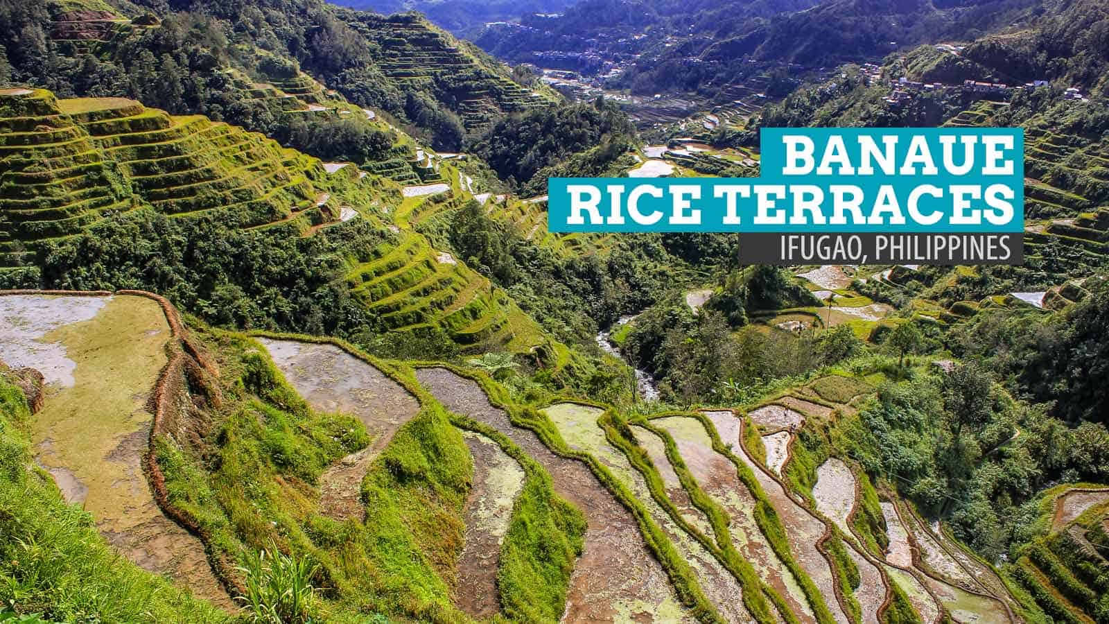 Majestic Overhead View Of Banaue Rice Terraces Wallpaper