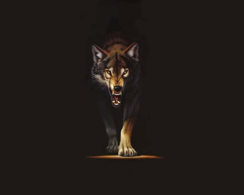 Majestic Red Wolf Staring Into The Wilderness Wallpaper