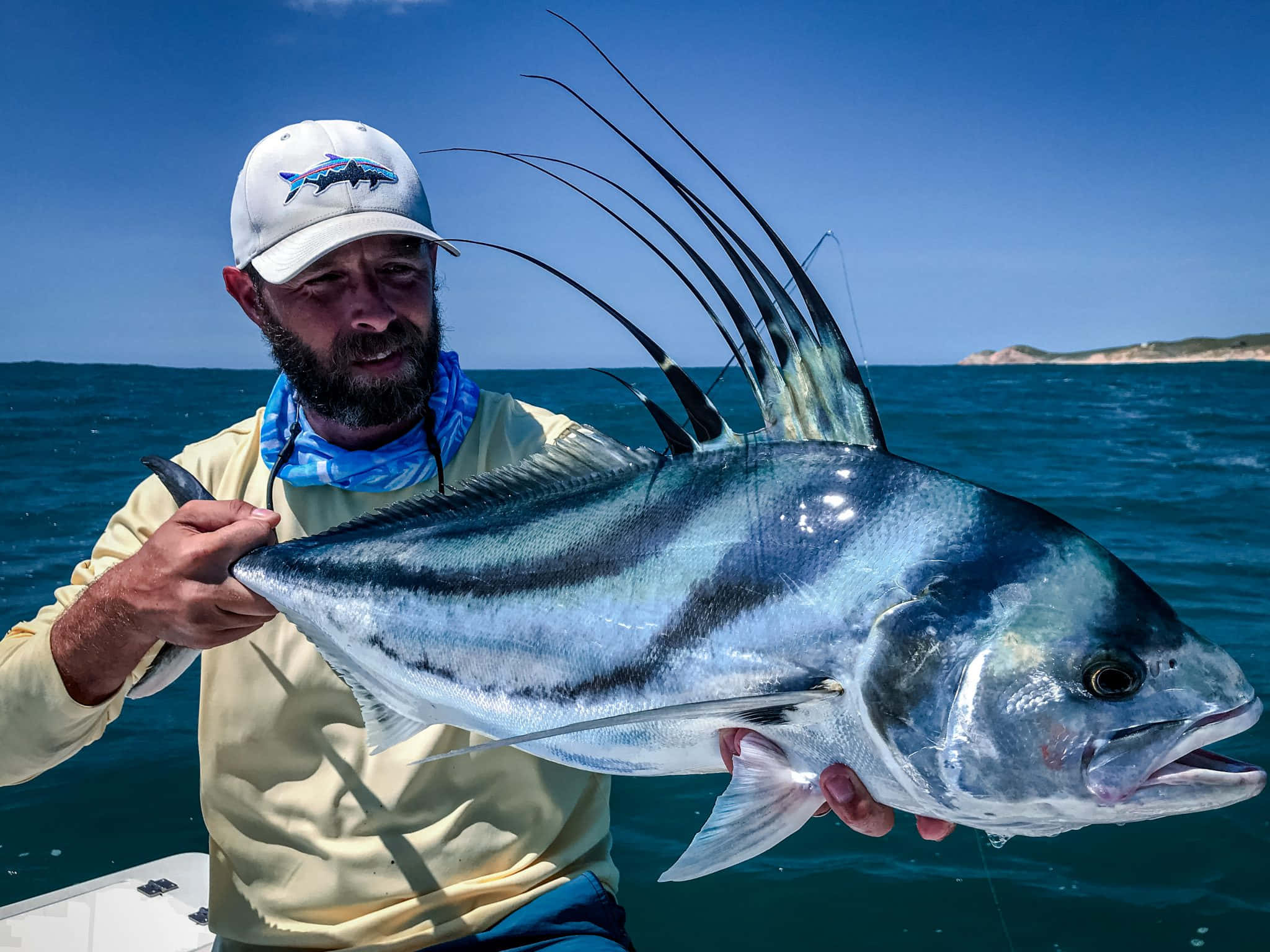 Majestic Roosterfish Swimming Undisturbed In The Aquatic Environment Wallpaper