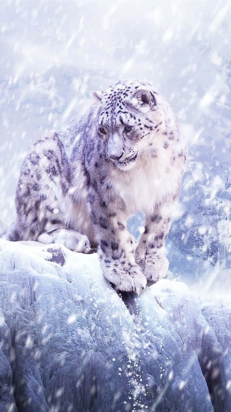 Majestic Snow Leopard Roaming In The Foothills Of The Himalayas Wallpaper