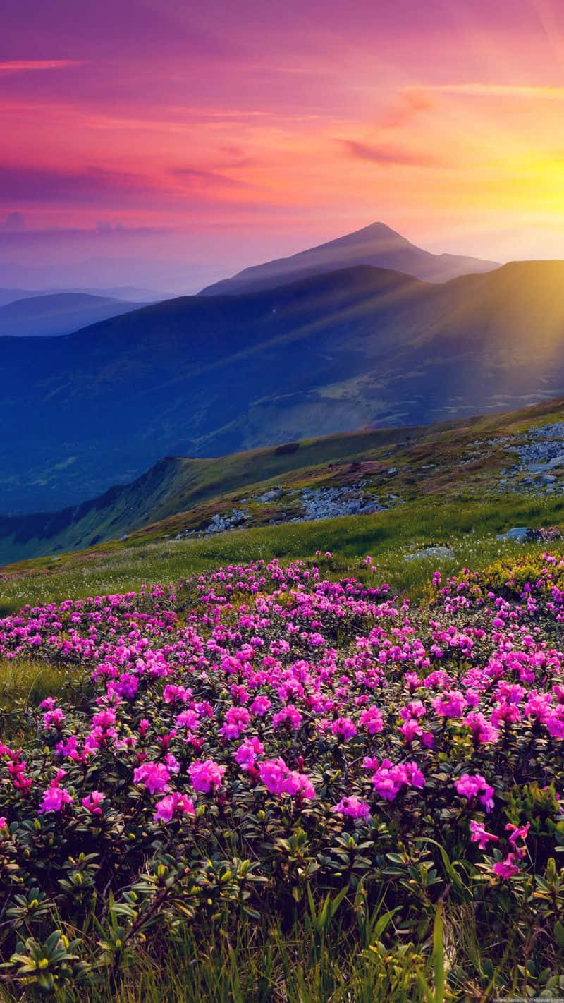 Majestic Spring Mountain Landscape Wallpaper