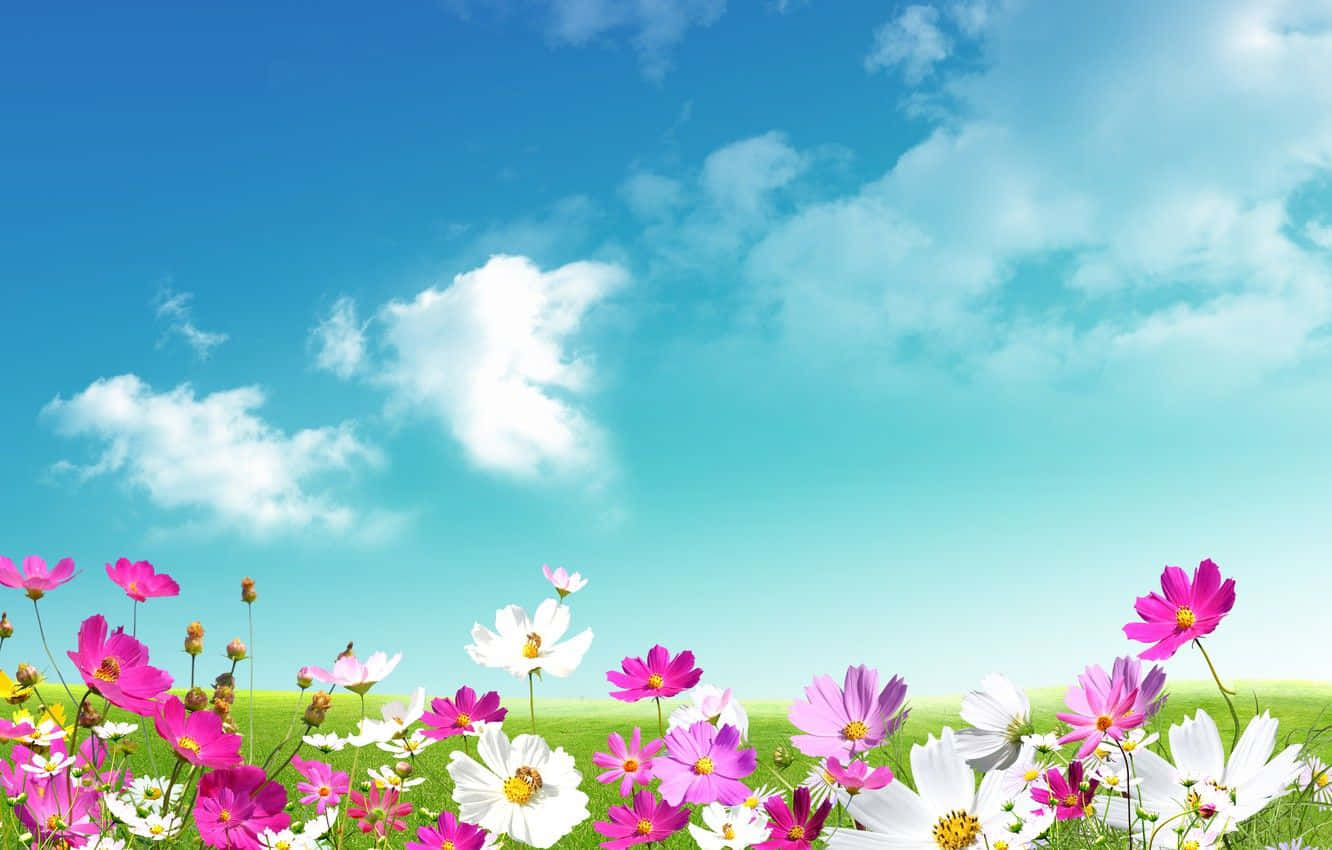 Majestic Spring Sky Wallpaper