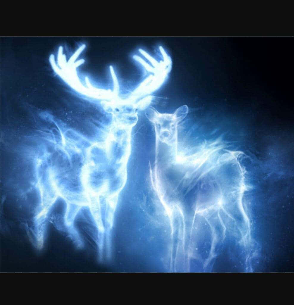 Majestic Stag Patronus Surrounded By Magical Luminescence Wallpaper