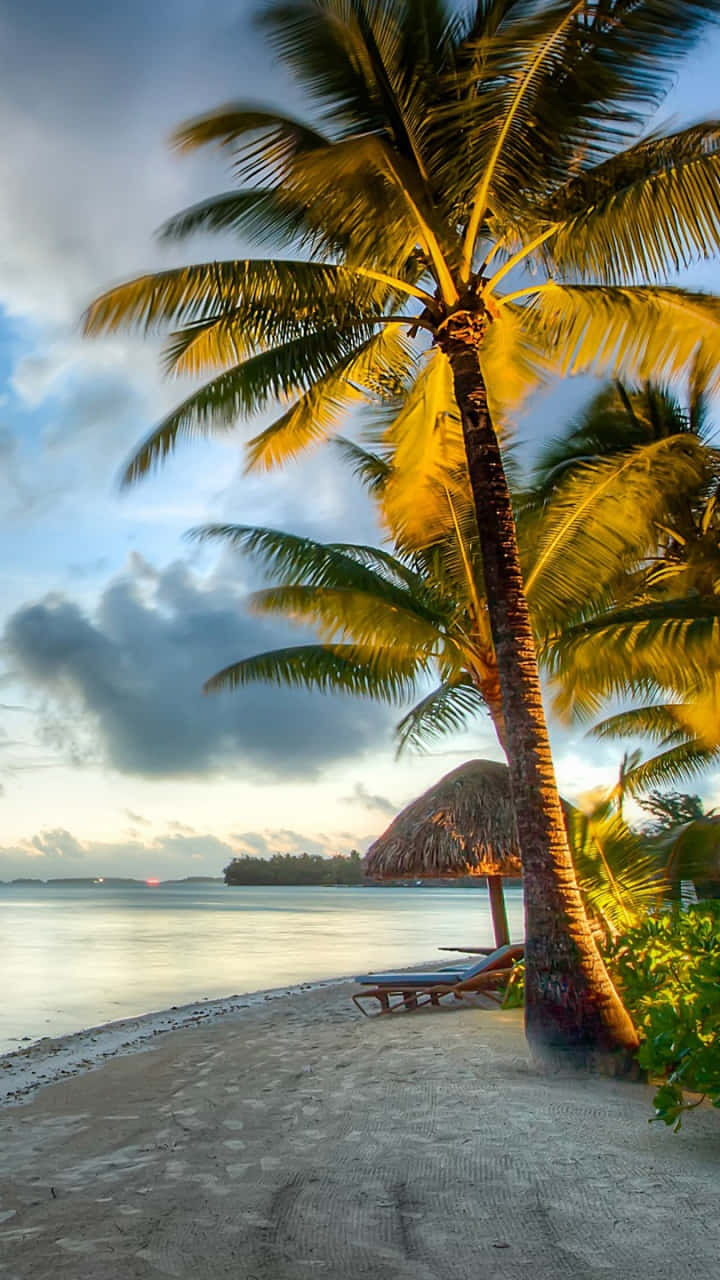 Majestic View Of Bora Bora Island Wallpaper