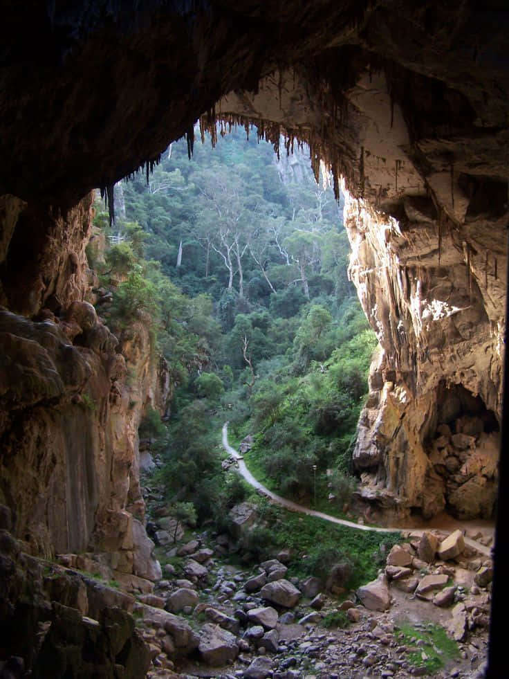 Majestic Views Of The Blue Mountains Wallpaper