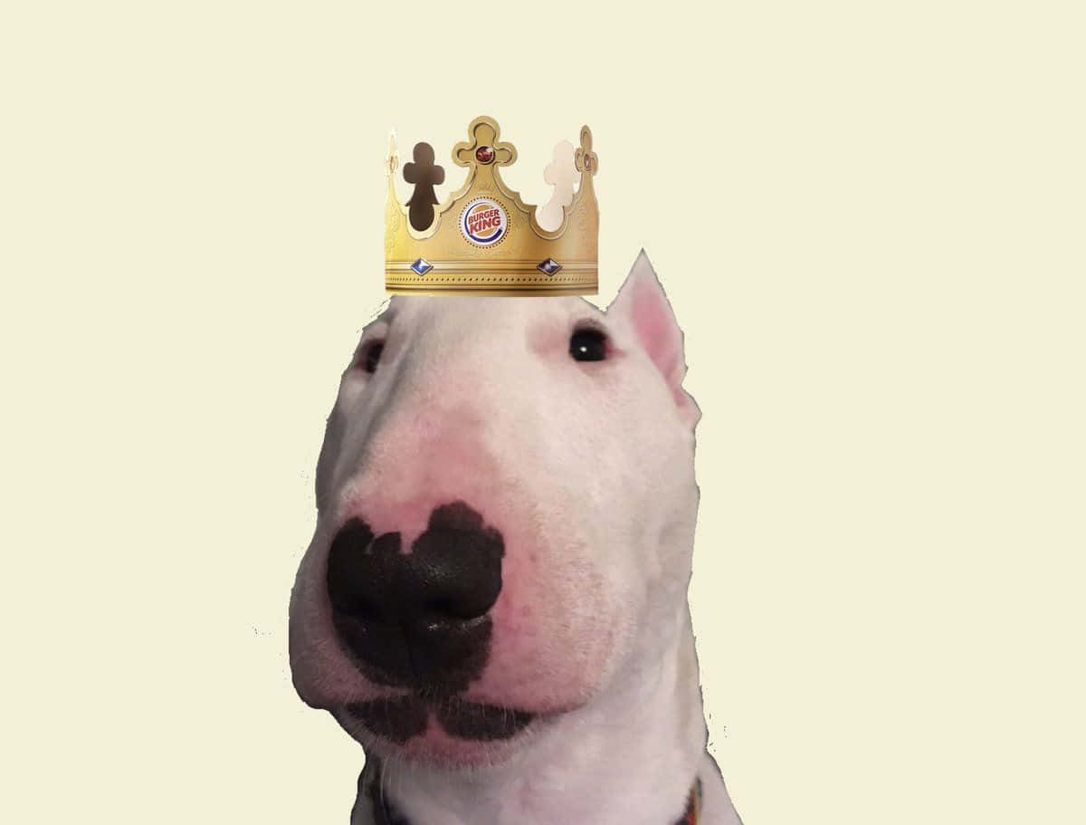 Majestic Walter The Dog Donning A Royal Crown Wallpaper