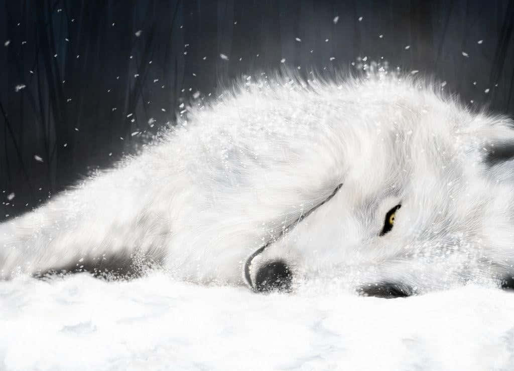 Majestic White Wolf In Snowy Landscape Wallpaper