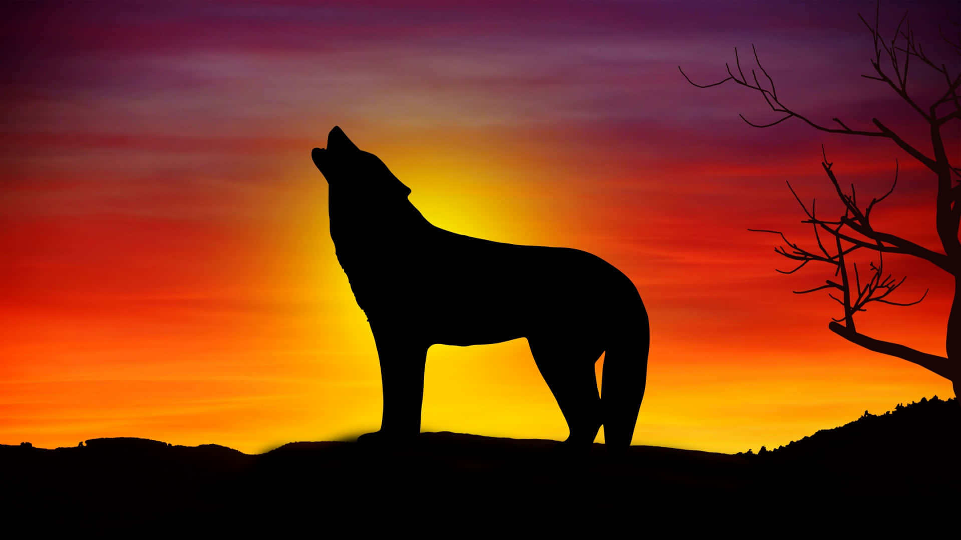 Majestic Wolf Basking In The Golden Sunset Wallpaper