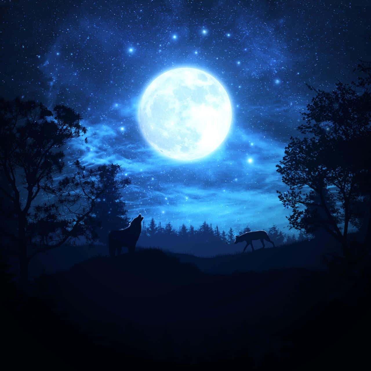 Majestic Wolf Basks In Moonlight's Glow Wallpaper