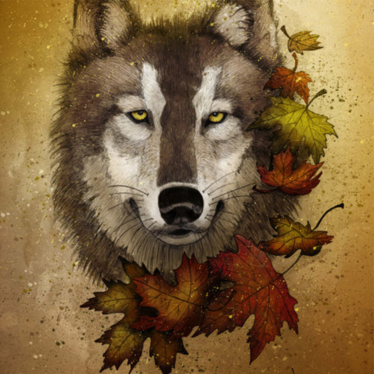 Majestic Wolf In Vibrant Autumn Forest Wallpaper