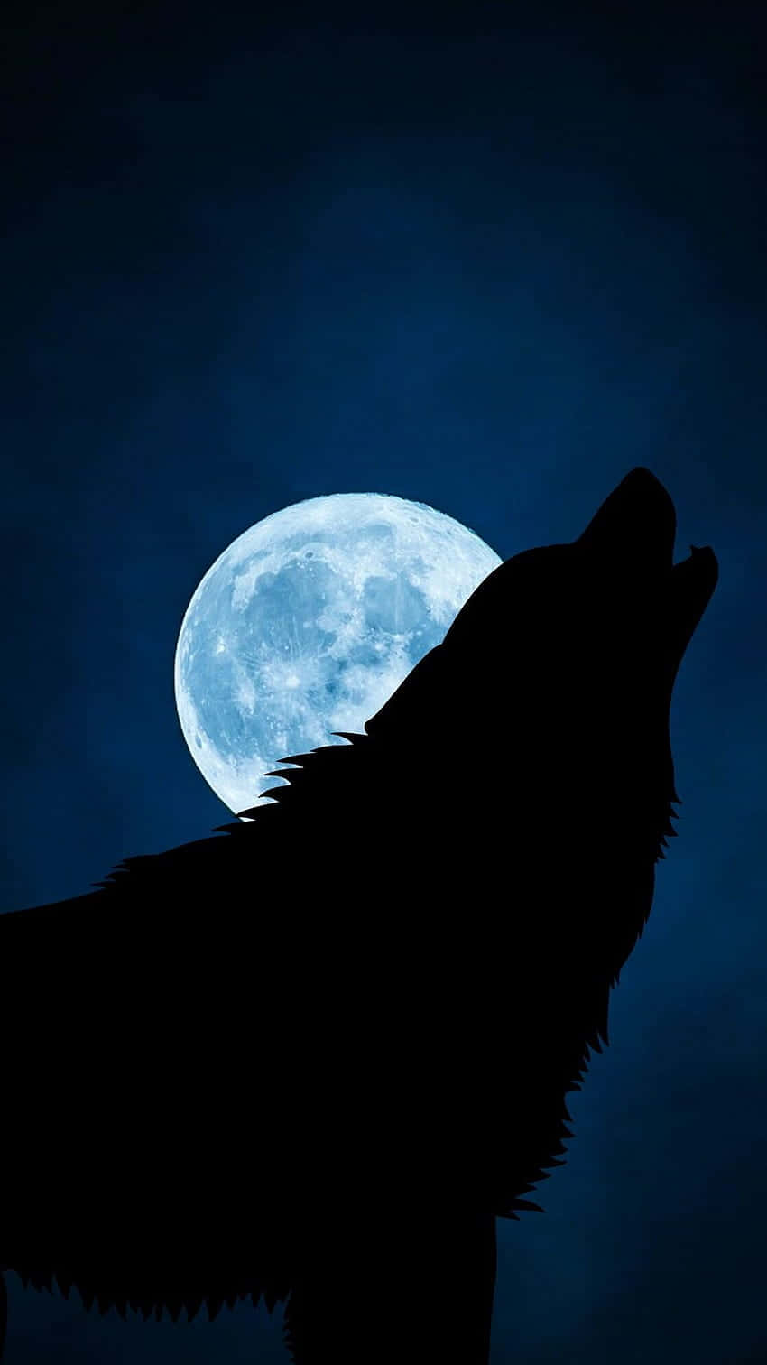 Majestic Wolf Silhouette Against A Starry Night Sky Wallpaper