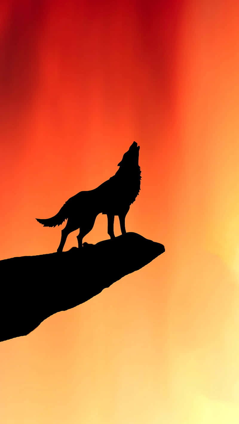 Majestic Wolf Silhouette Against The Night Sky Wallpaper