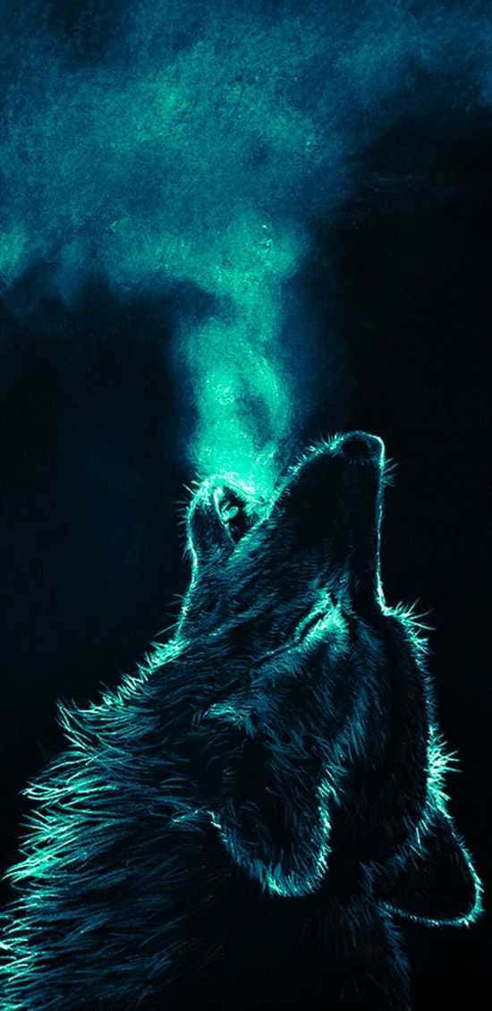 Majestic Wolves Under The Moonlight Wallpaper