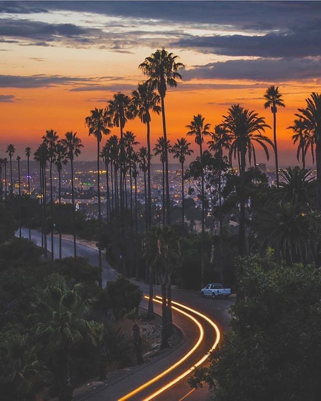 Malibu California Road Palm Trees Wallpaper