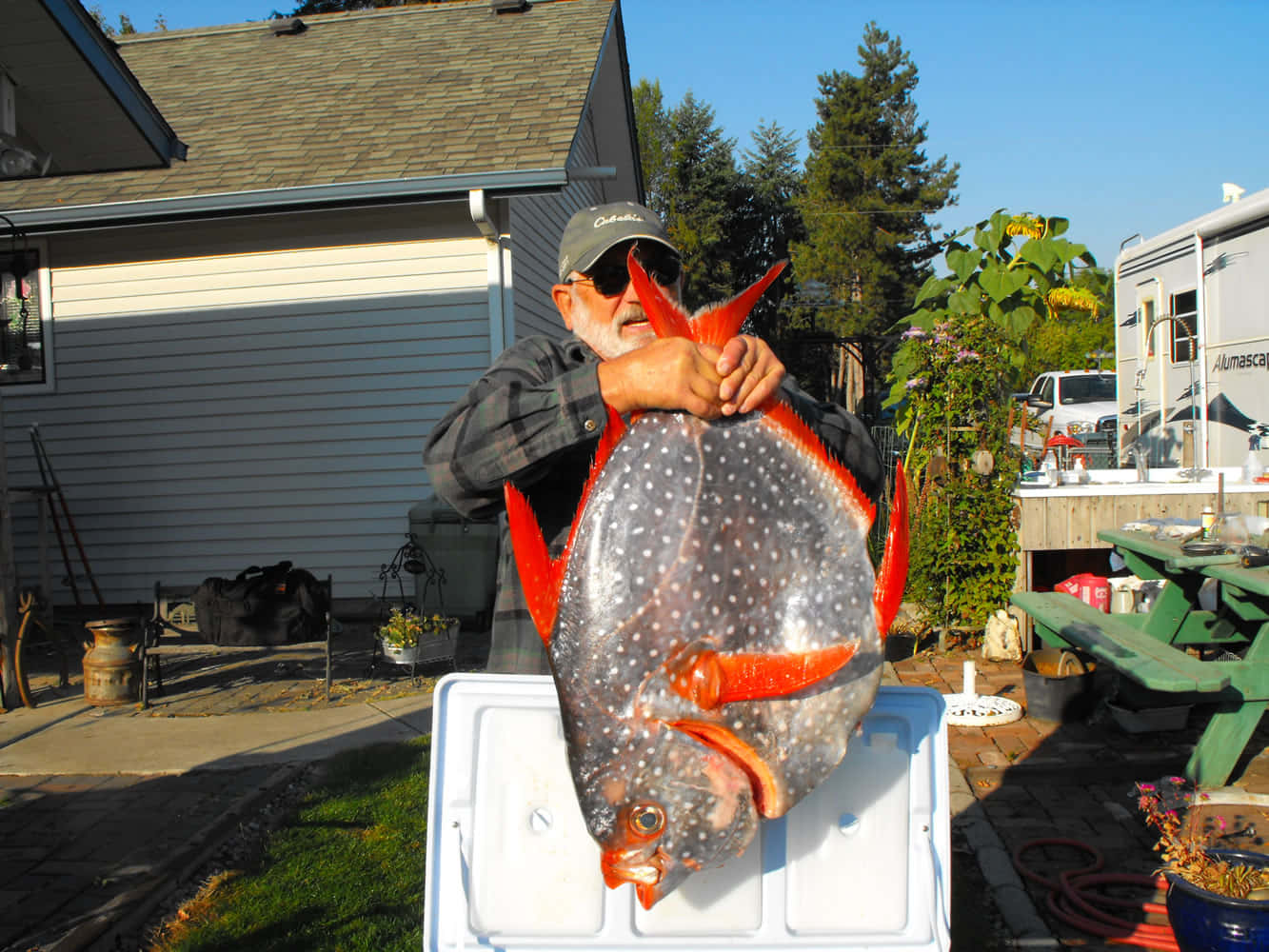 Man Holding Large Opah Fish Wallpaper