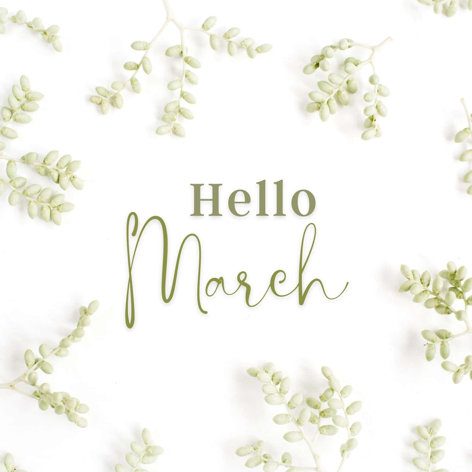 March - Welcome The Time Of New Beginnings Wallpaper