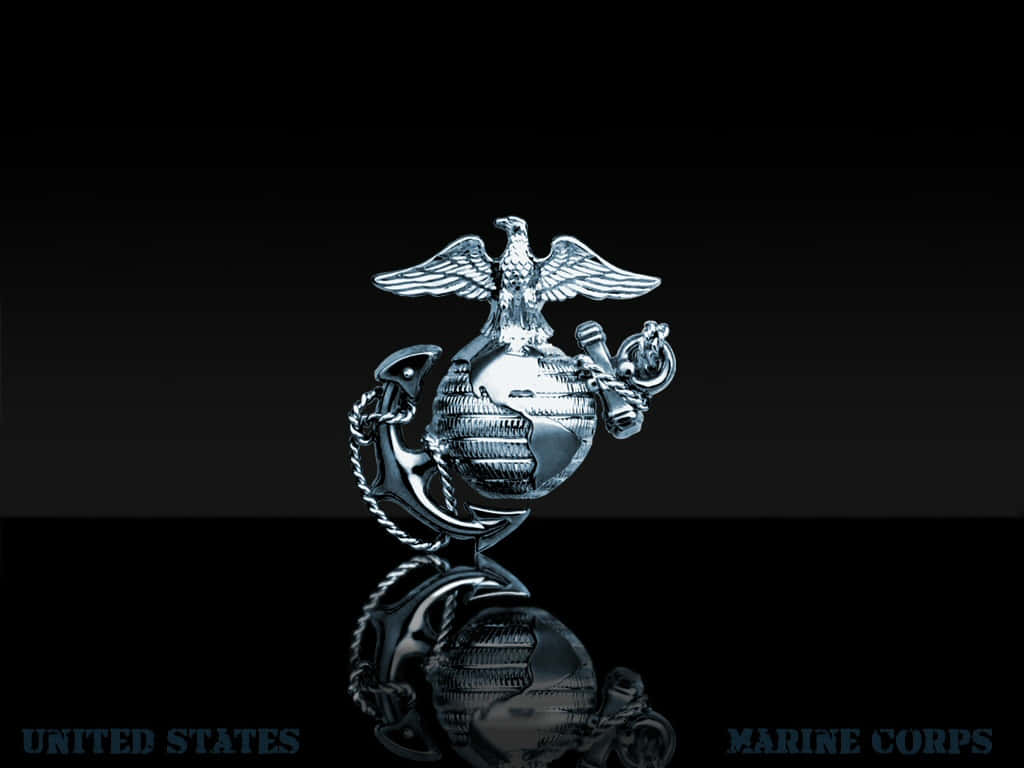 Marine Infantry, Fighting For Our Freedom Wallpaper