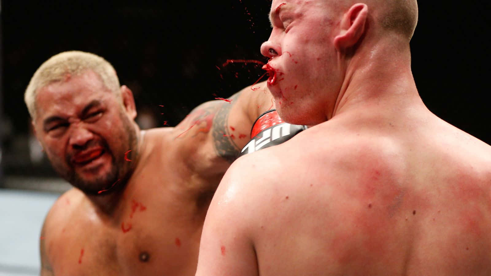 Mark Hunt Bloody Hand Punch Wallpaper