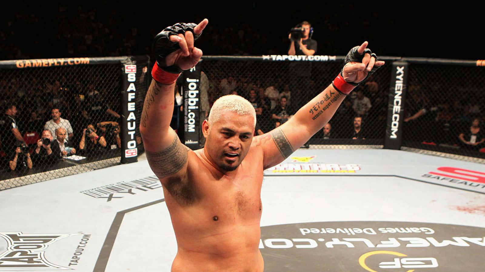 Mark Hunt Ufc Championship Game Wallpaper