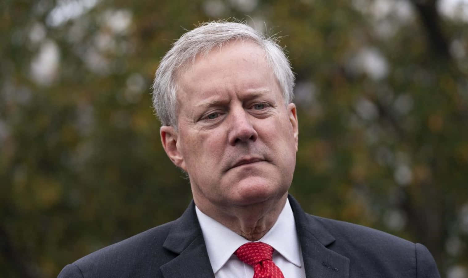 Mark Meadows Portrait Outdoors Wallpaper