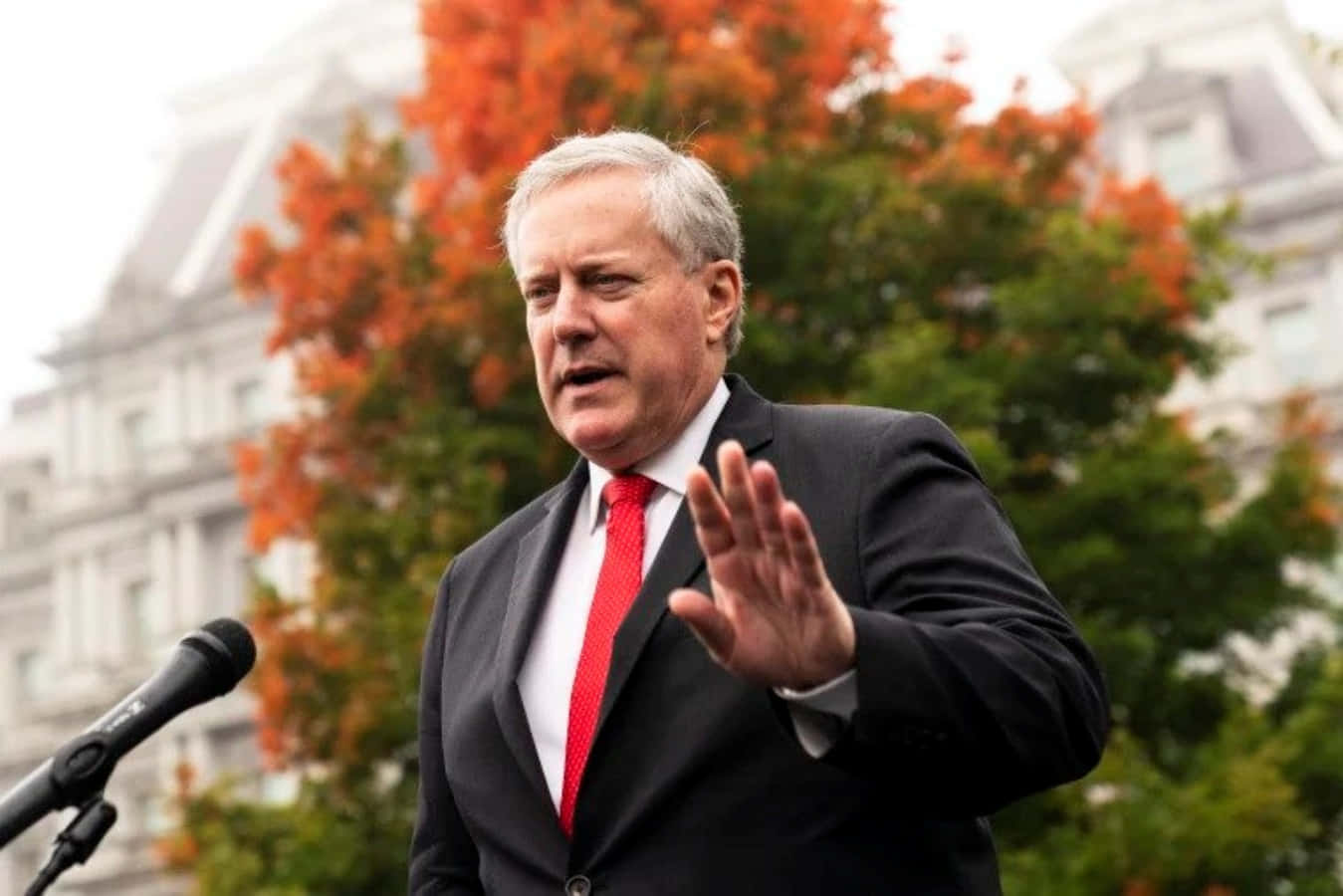 Mark Meadows Speakingat Podium Wallpaper