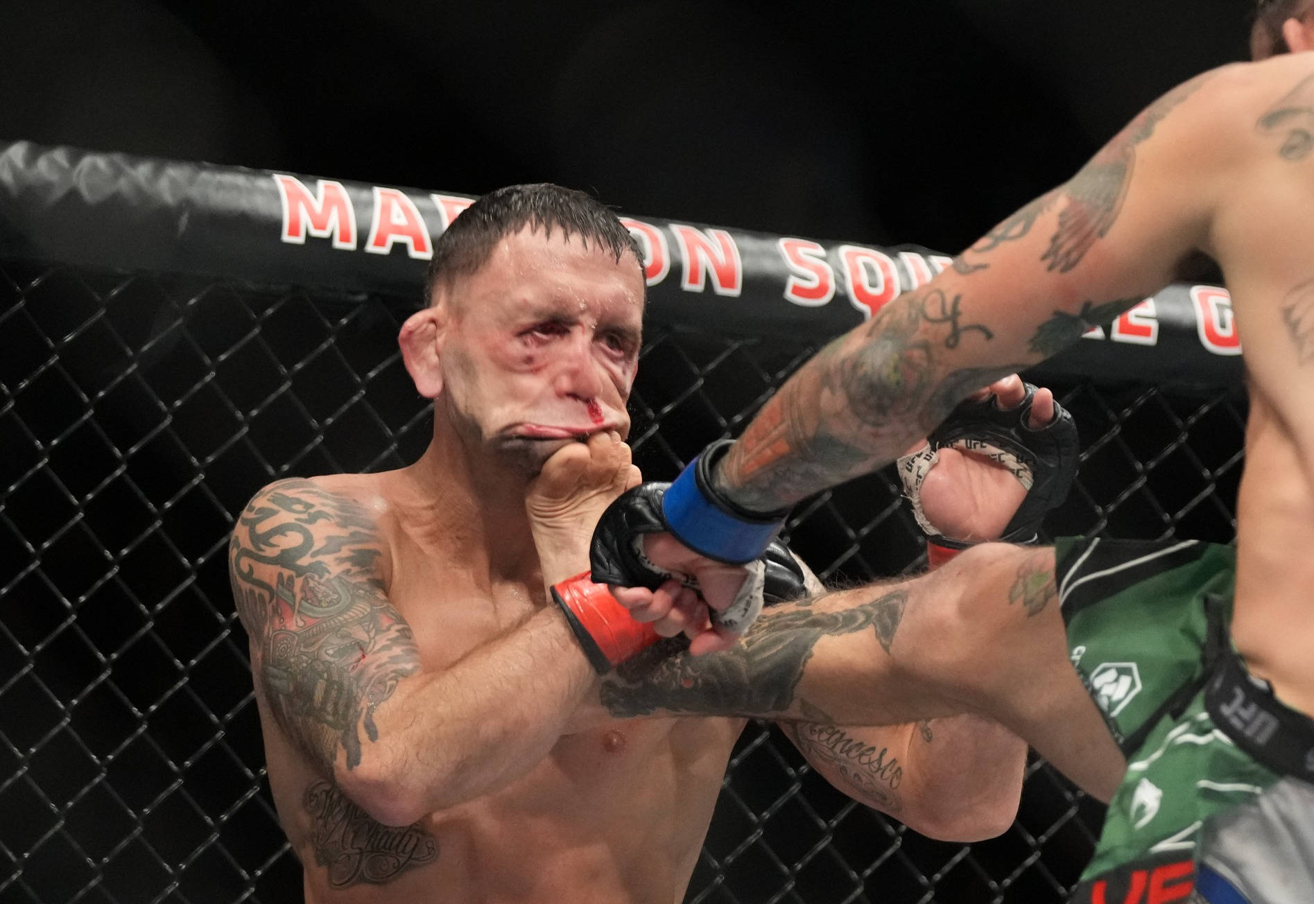 Marlon Vera Punched Wallpaper