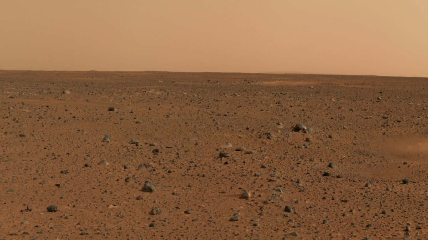 Mars Landscape: Red-planet Discovery Wallpaper