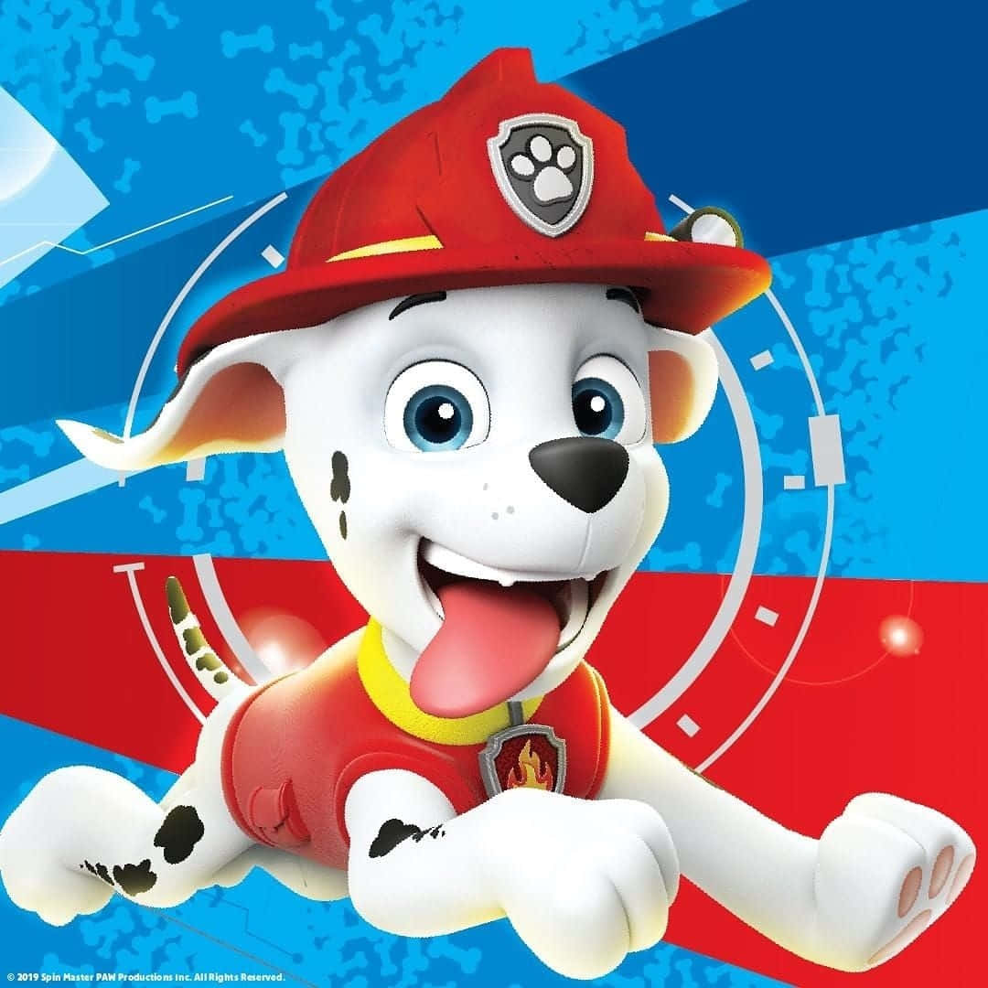 Marshall Paw Patrol Fire Pup Wallpaper