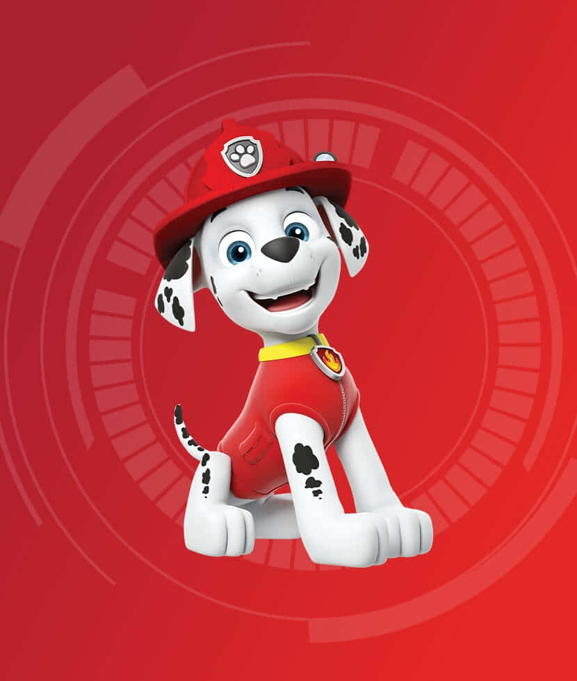 Marshall Paw Patrol Fire Pup Wallpaper