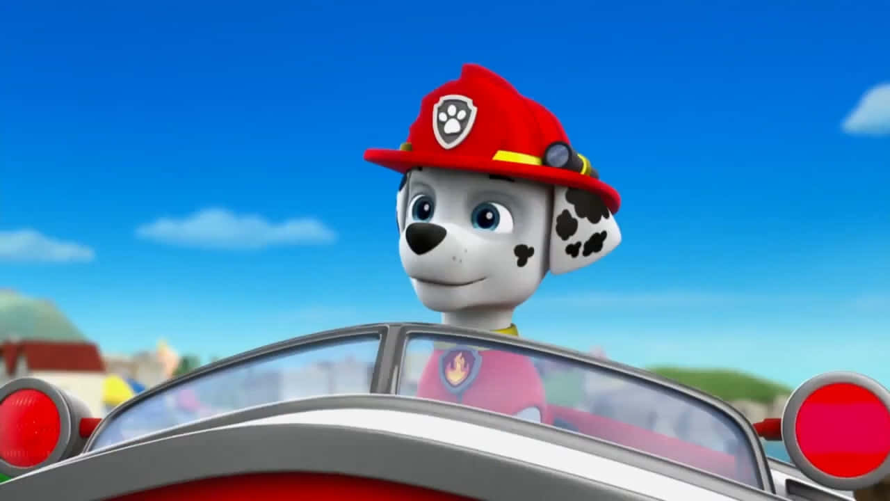 Marshall Paw Patrol Fire Pup On Duty Wallpaper