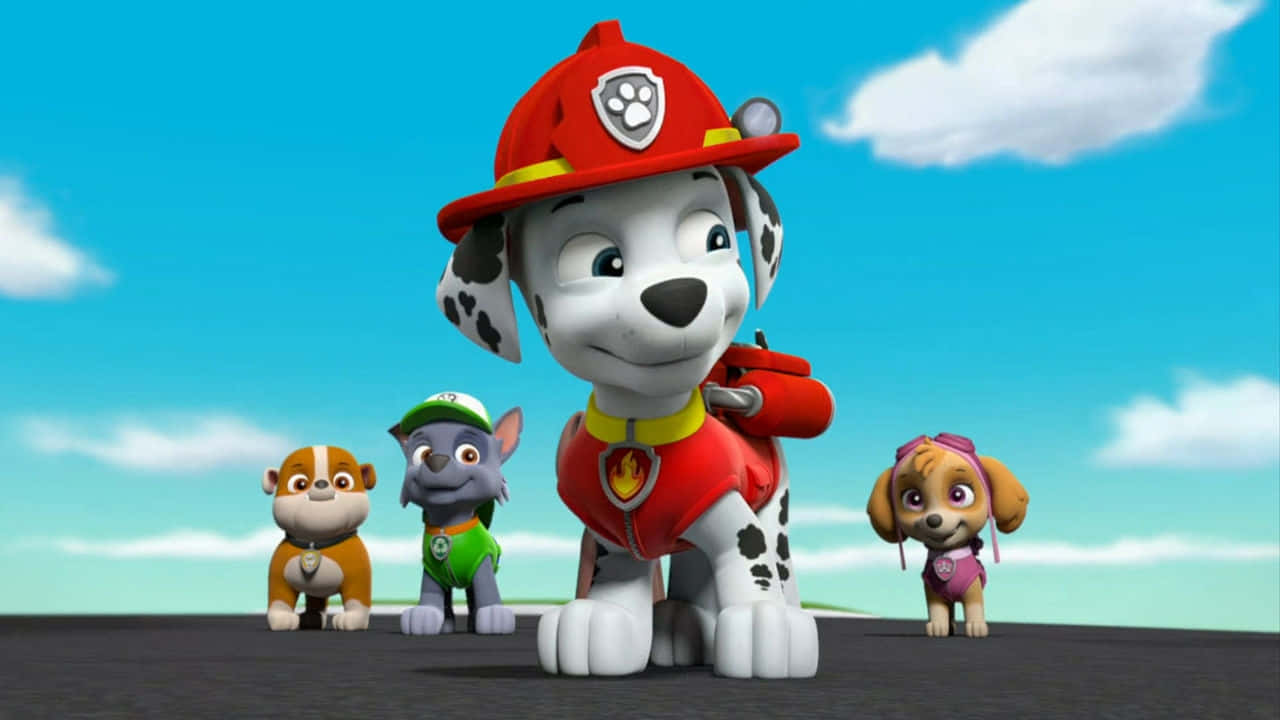 Marshalland Paw Patrol Team Wallpaper