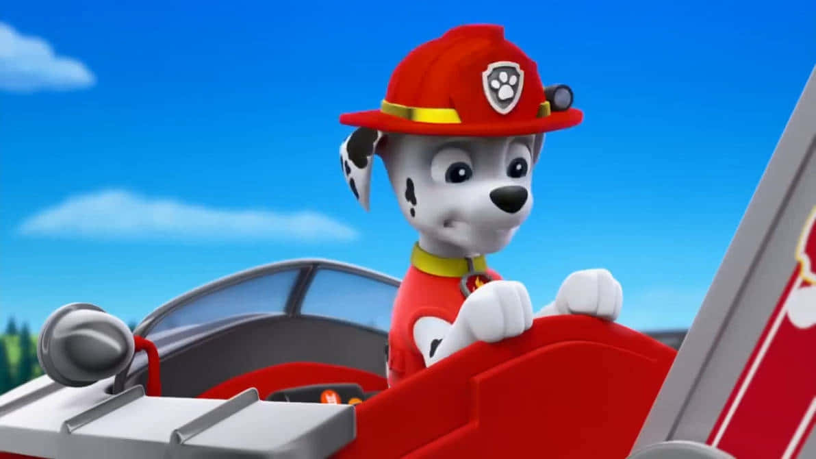 Marshallin Fire Truck Paw Patrol Wallpaper