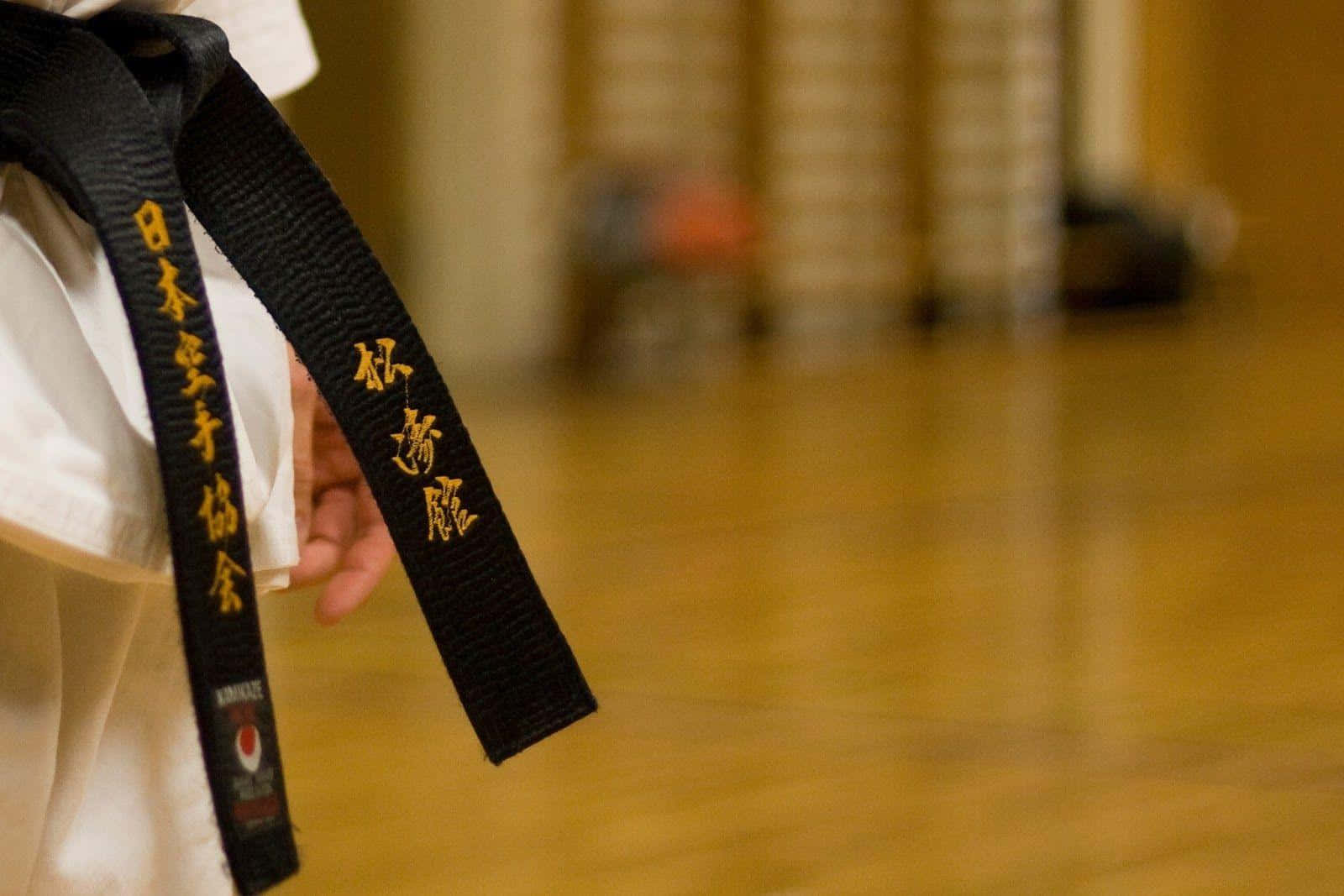 Martial Arts Master Demonstrating Technique Wallpaper