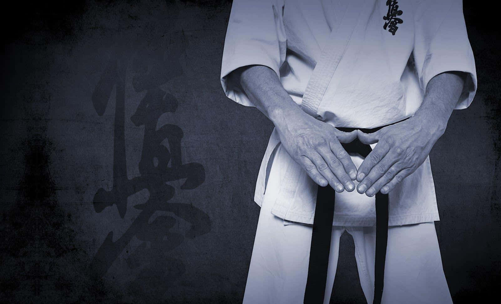 Martial Arts Master In Uniform Wallpaper